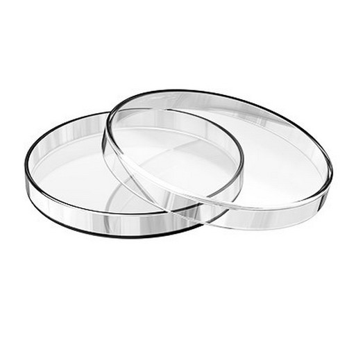 Petri Dish ‘B.G.’, 4”