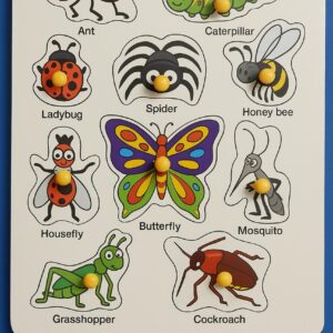 Insects Puzzle | Fun & Educational Jigsaw Puzzle for Kids