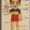 Parts of Body Puzzle | Educational Wooden Puzzle for Kids