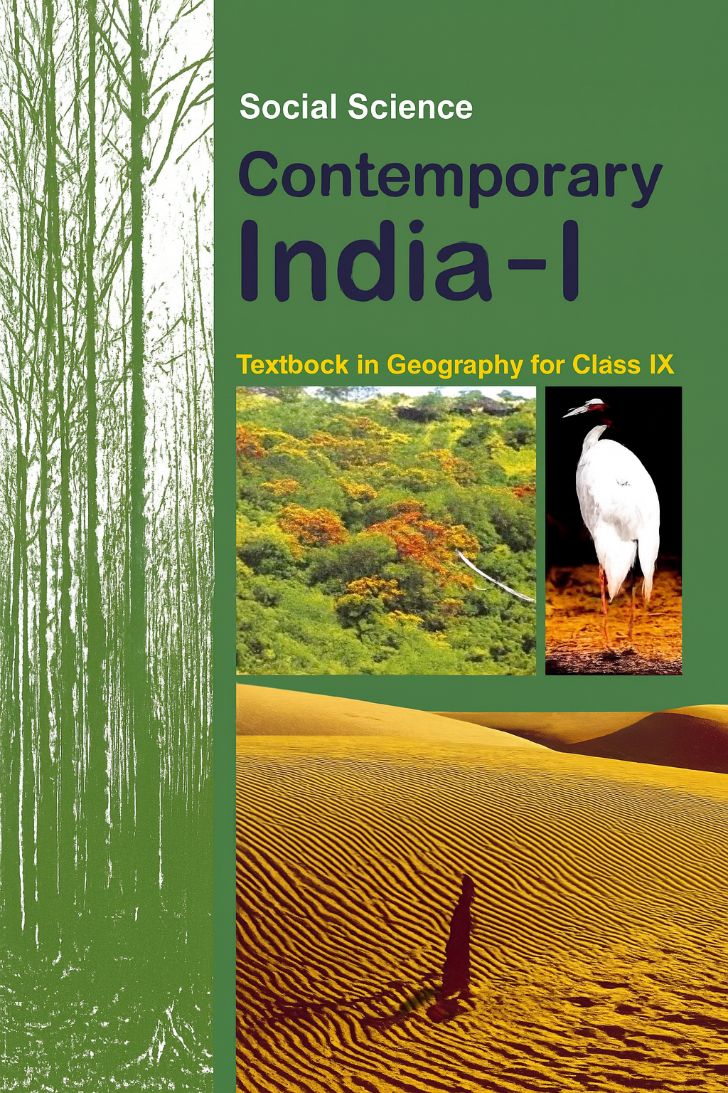 9th class - Social studies