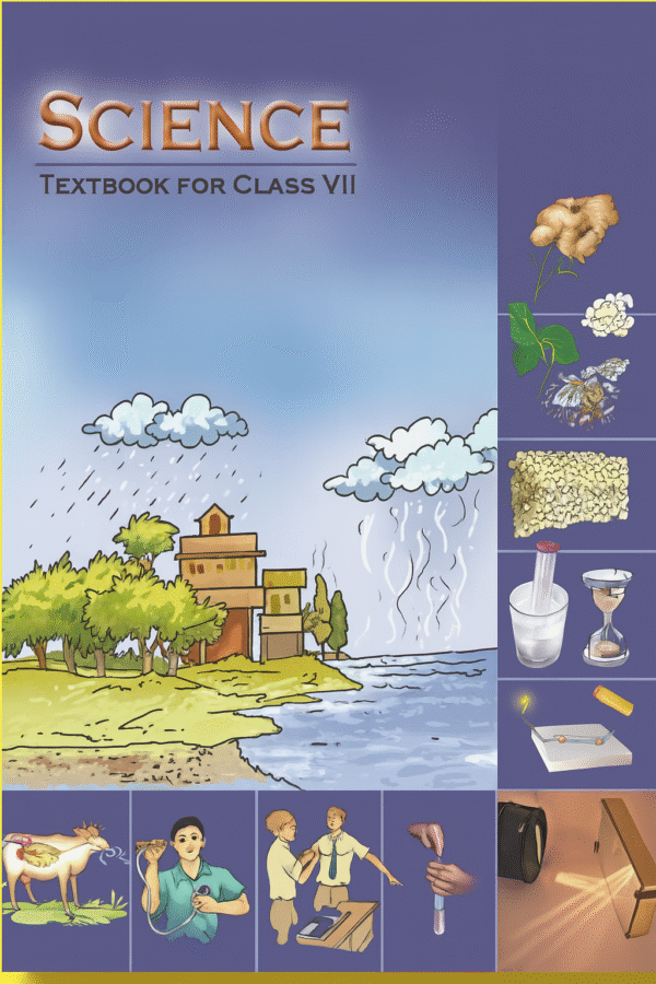 7th class - science